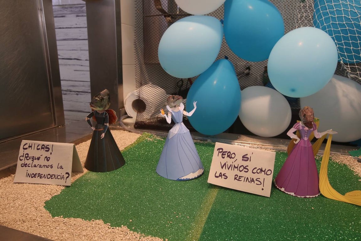 Fotos: Cádiz celebra los Tosantos 2017