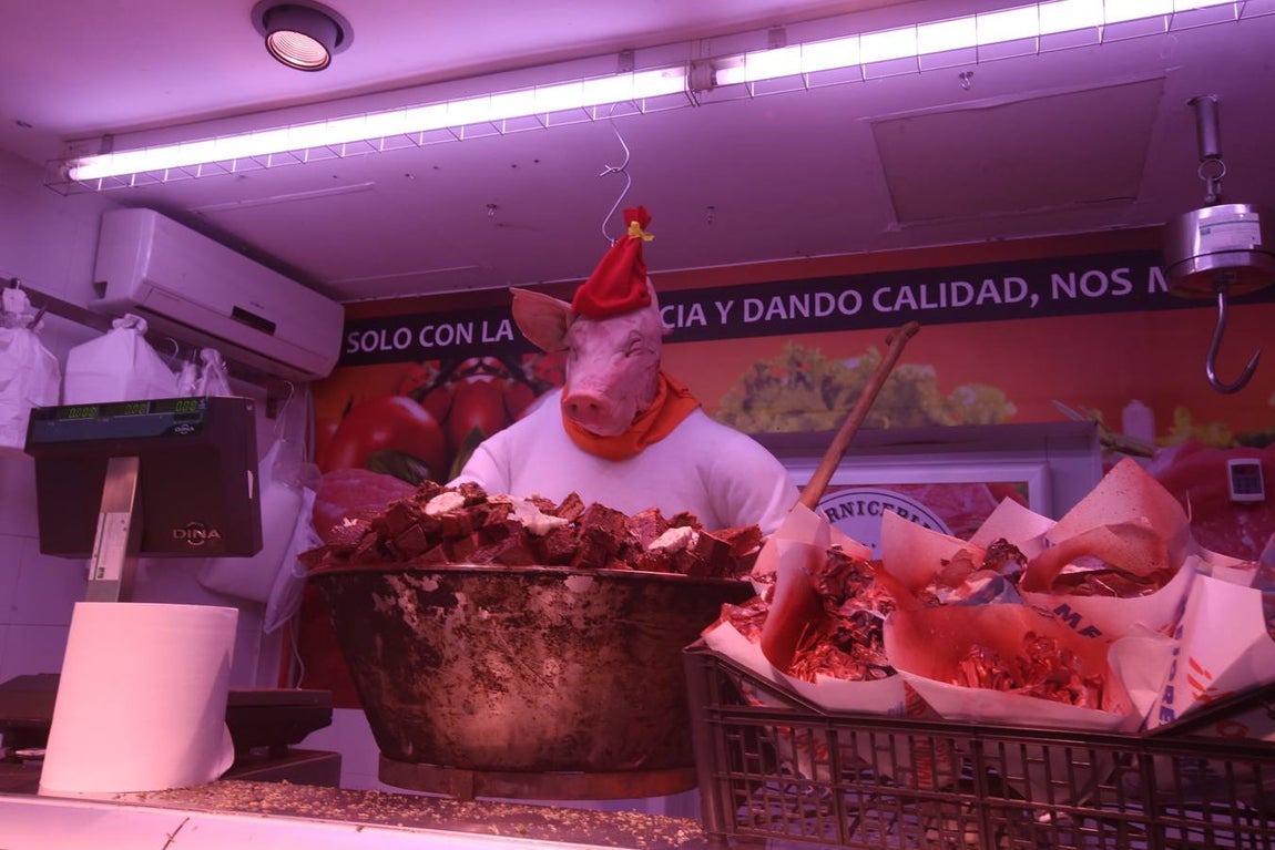 Fotos: Cádiz celebra los Tosantos 2017