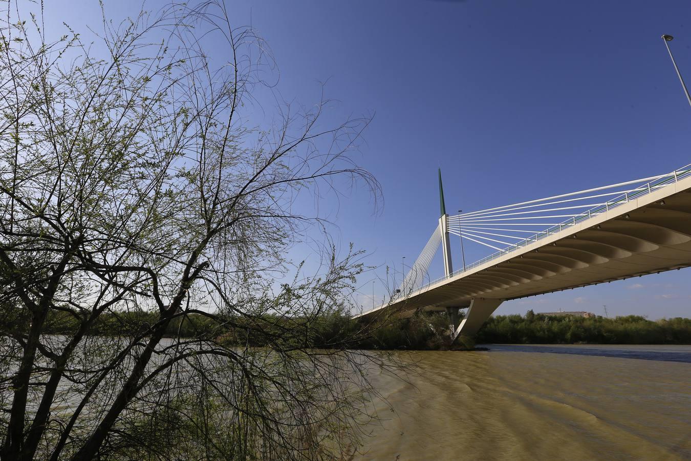 Rincones para no perderse en Córdoba en el Día de las Ciudades