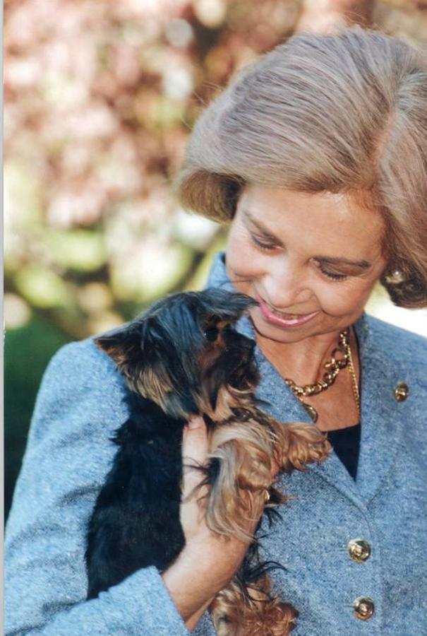 Y, aunque tenga que ver por televisión a sus nietas Leonor y Sofía en el desfile militar del 12 de octubre. 