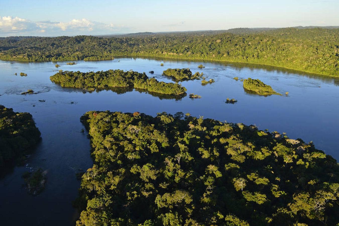 Los pueblos indígenas amazónicos son fundamentales para el Acuerdo de París. Aunque los territorios indígenas representan alrededor del 33% de la Amazonía, solo el 8% de toda la deforestación ha ocurrido dentro de esos territorios; mientras que más de 90% de la deforestación total ha ocurrido en áreas no protegidas por pueblos indígenas, explican desde la organización WWF.