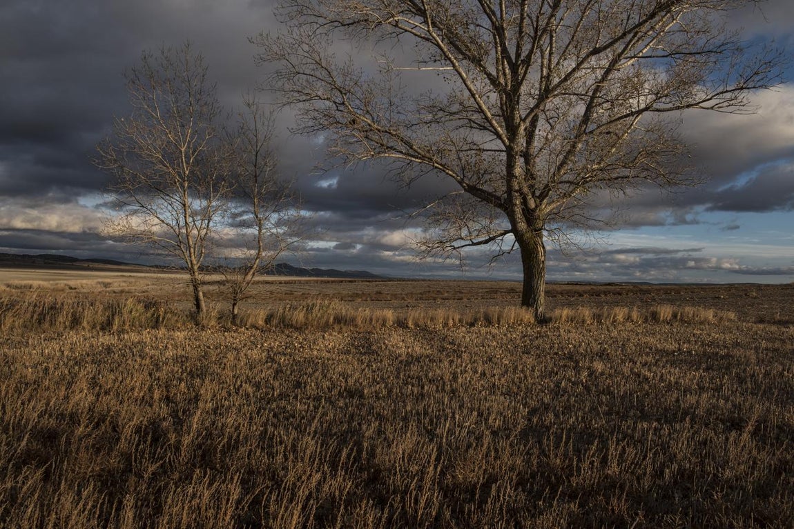 Laguna de Gallocanta. Zaragoza. 