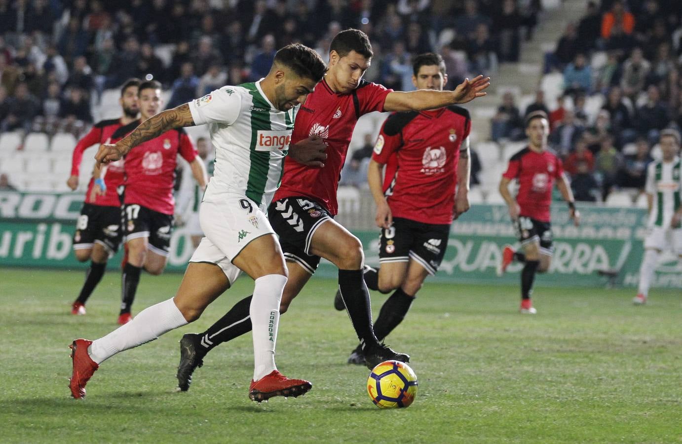 Las imágenes del Córdoba CF-Cultural Leonesa