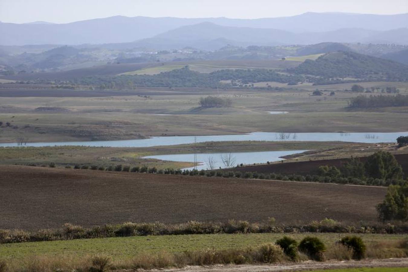 Estado de los pantanos de la provincia de Cádiz