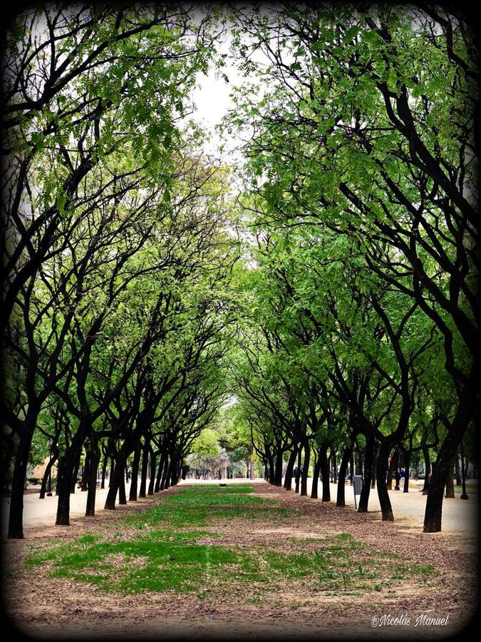 El otoño de Sevilla, según los lectores de ABC