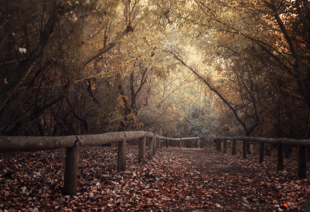 El otoño de Sevilla, según los lectores de ABC