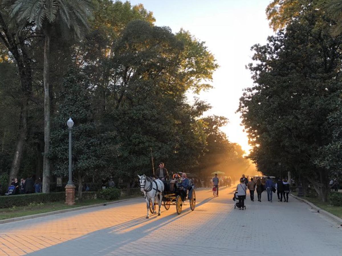 El otoño de Sevilla, según los lectores de ABC