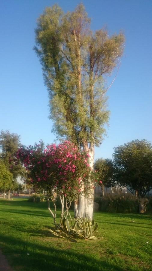 El otoño de Sevilla, según los lectores de ABC