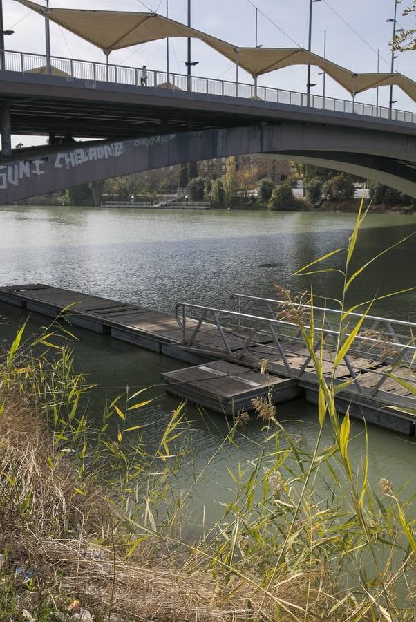 La triste estampa de los pantalanes del río