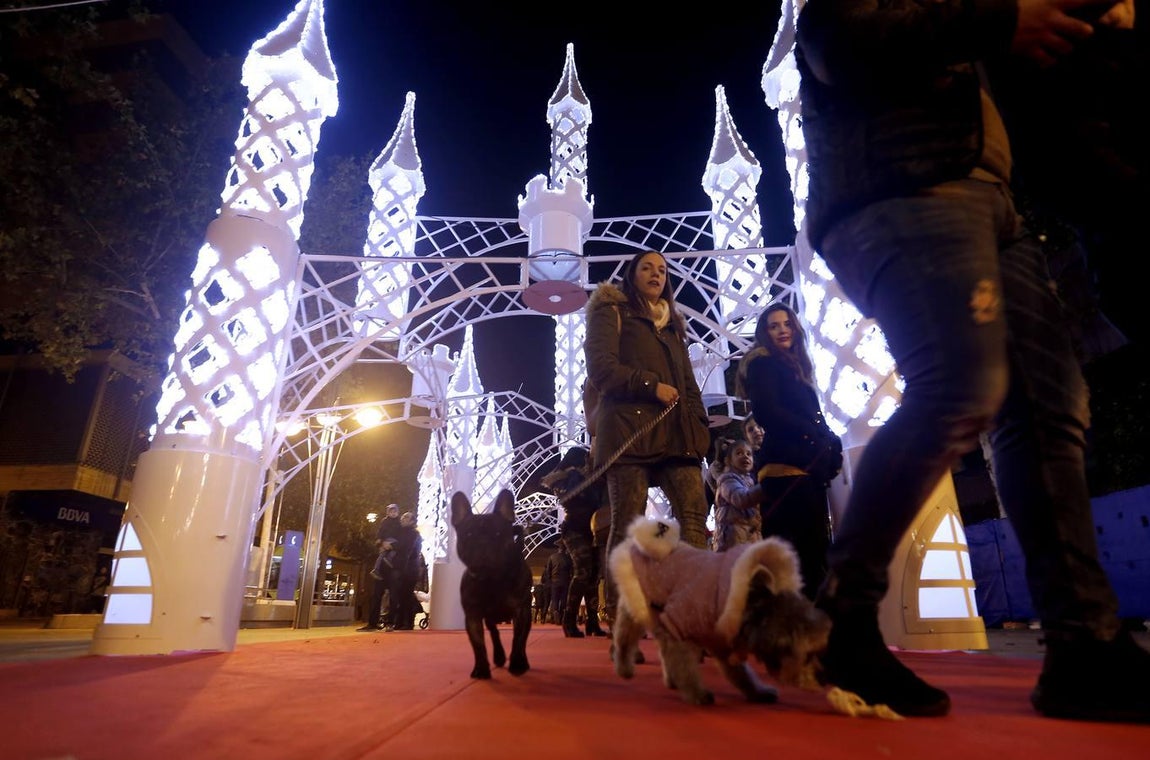 El alumbrado de Navidad de Córdoba, en imágenes