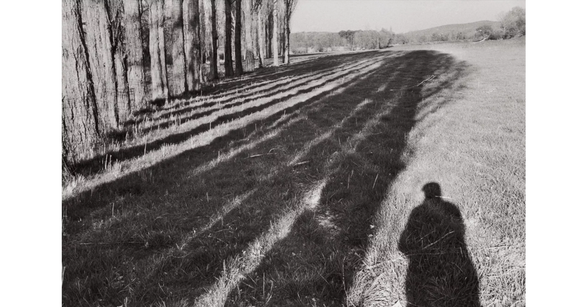 «Near Céreste, Alpes-de-Haute-Provence, France (self-portrait)», vendida por 52.500 dólares.. 
