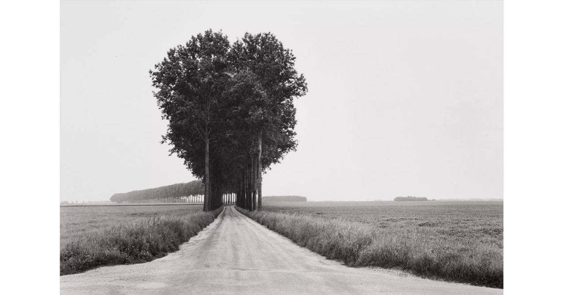 «Brie, France», vendida por 35.000 dólares.. 