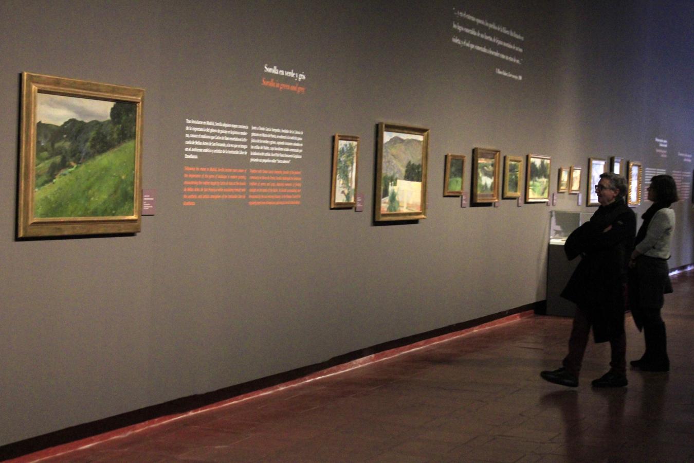 En imágenes: la exposición de Sorolla abre sus puertas en el Museo de Santa Cruz