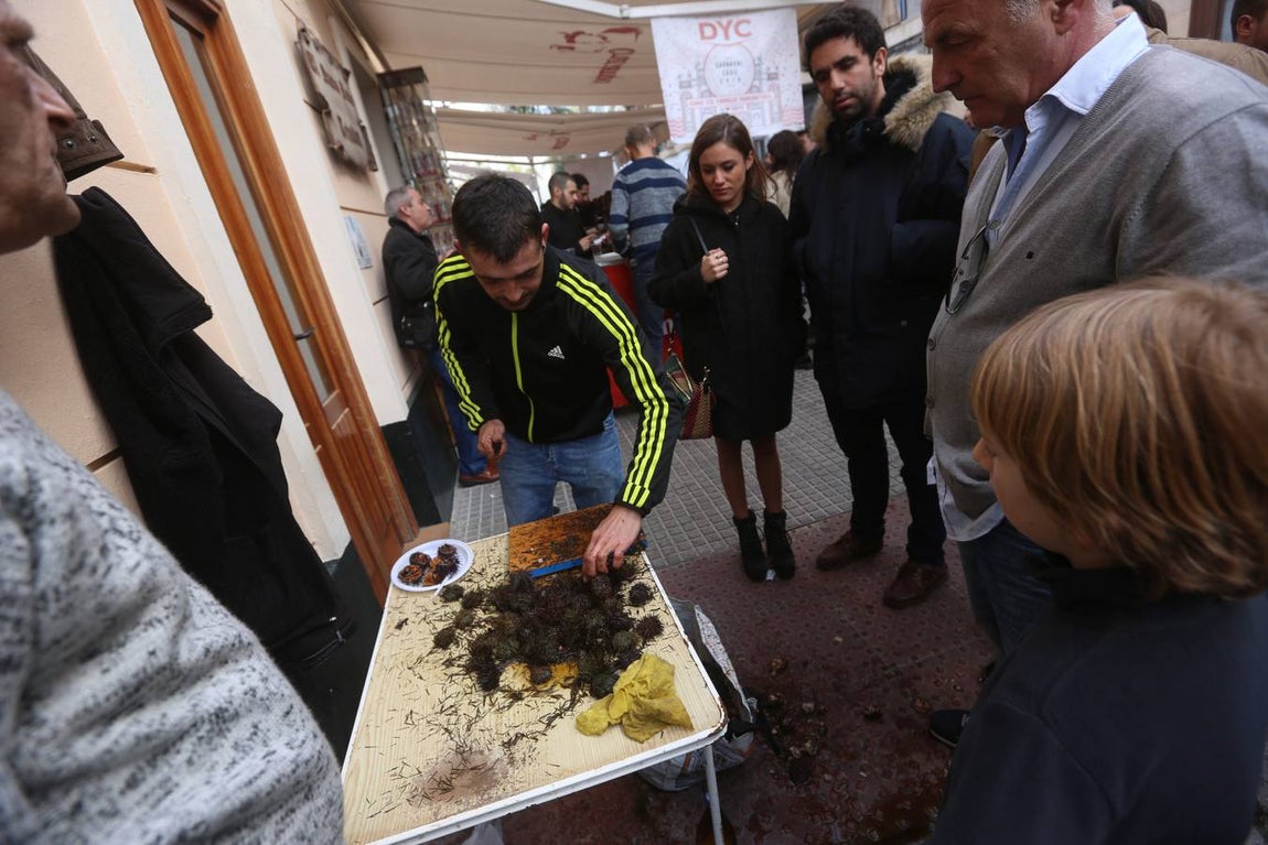 Fotos: Ambientazo en la Erizada más madrugadora de Cádiz