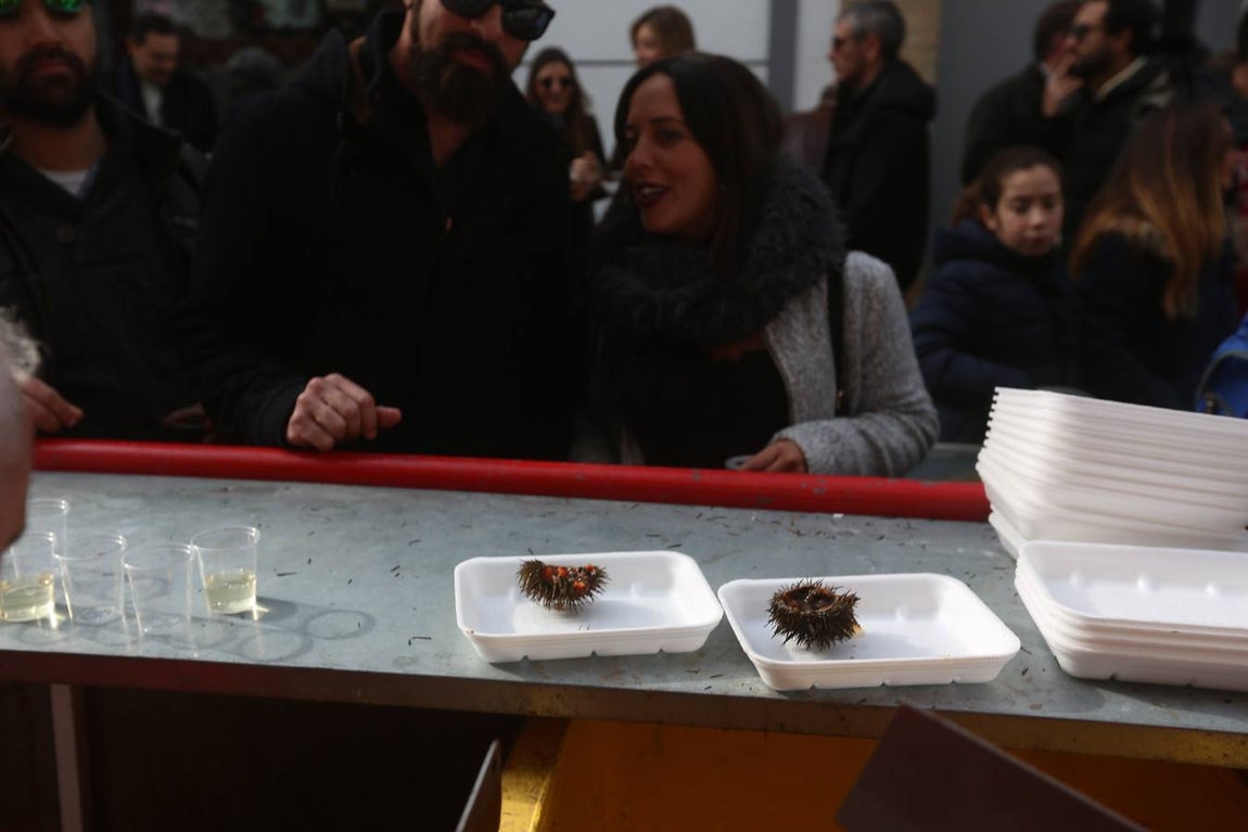 Fotos: Ambientazo en la Erizada más madrugadora de Cádiz