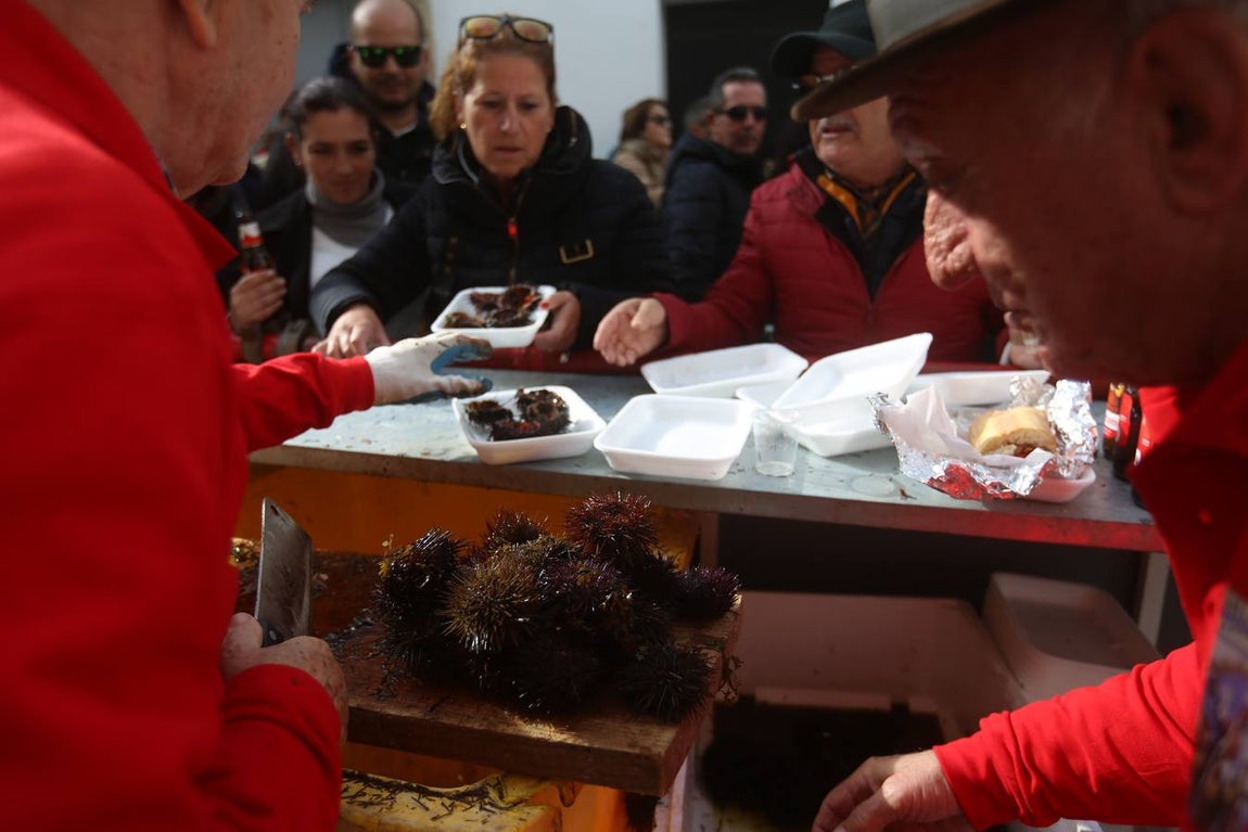 Fotos: Ambientazo en la Erizada más madrugadora de Cádiz