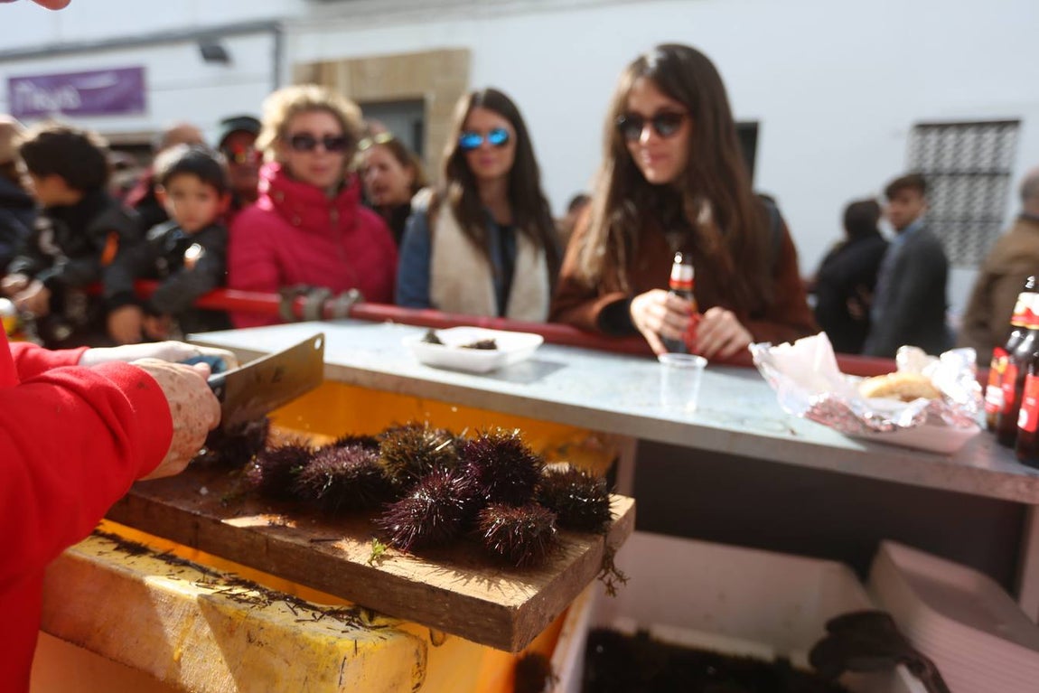 Fotos: Ambientazo en la Erizada más madrugadora de Cádiz
