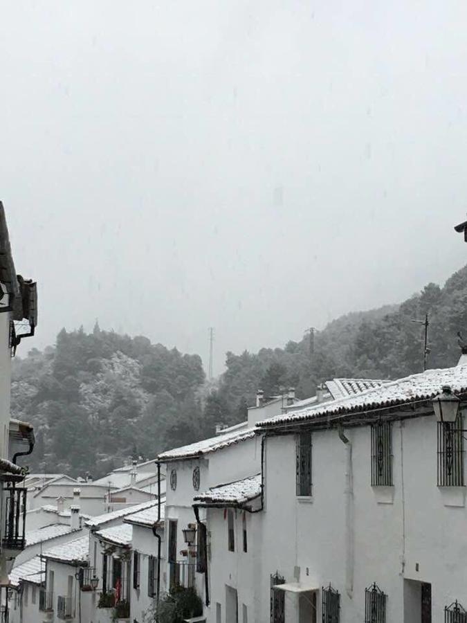 FOTOS: la nieve cubre la Sierra de Cádiz
