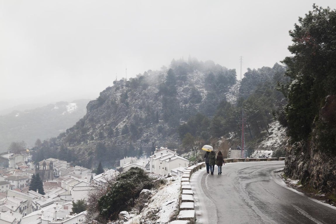 FOTOS: la nieve cubre la Sierra de Cádiz
