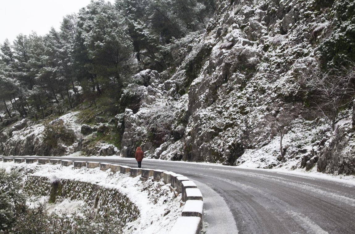 FOTOS: la nieve cubre la Sierra de Cádiz