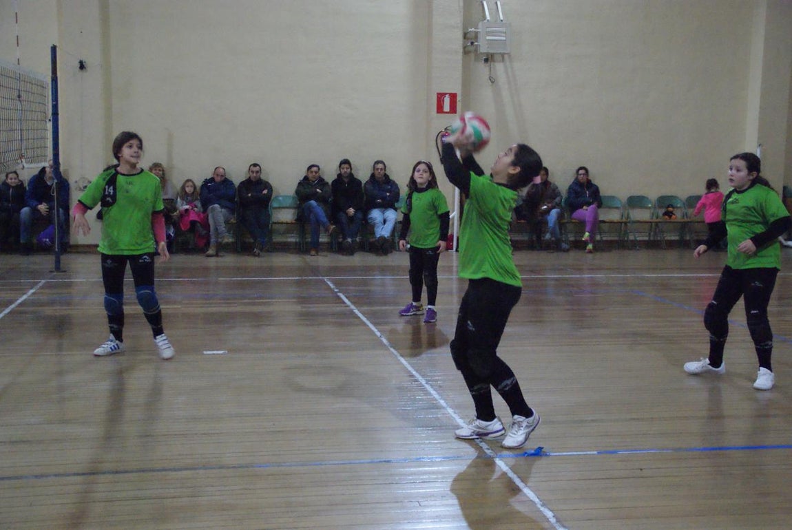 Las mejores imágenes del partido de voleibol alevín mixto entre Rafaela Ybarra y La Salle San Rafael