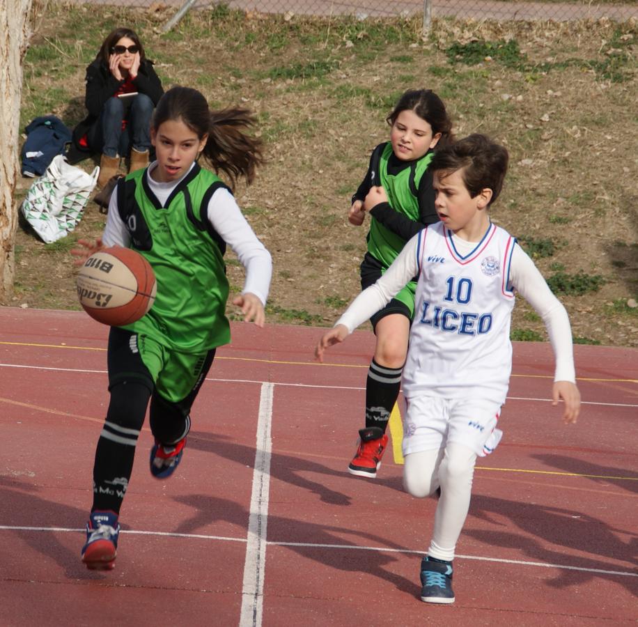 Las mejores imágenes del partido entre Liceo Francés y Virgen de Mirasierra “B”
