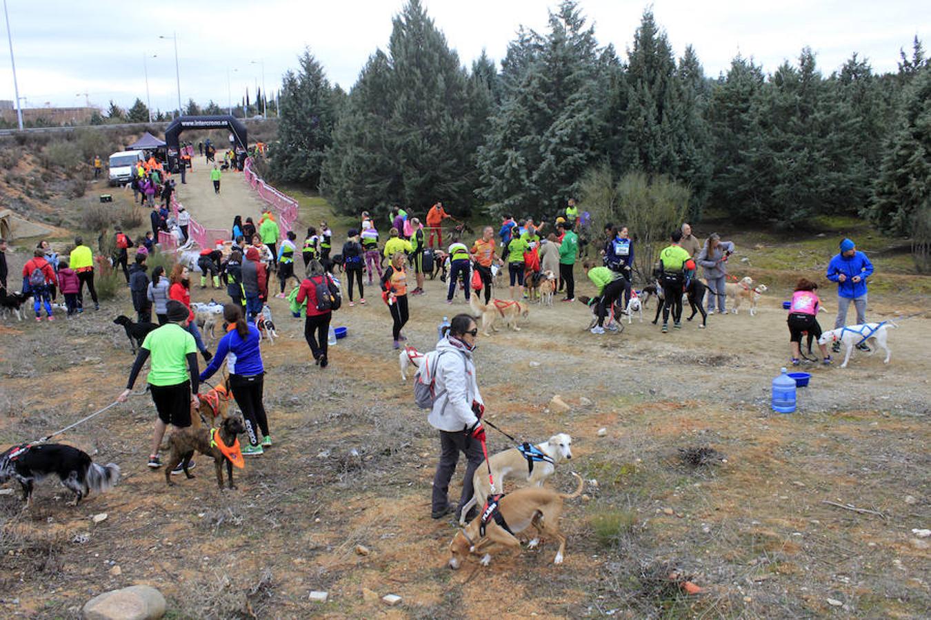 III Mushing Day «Ciudad de Toledo»