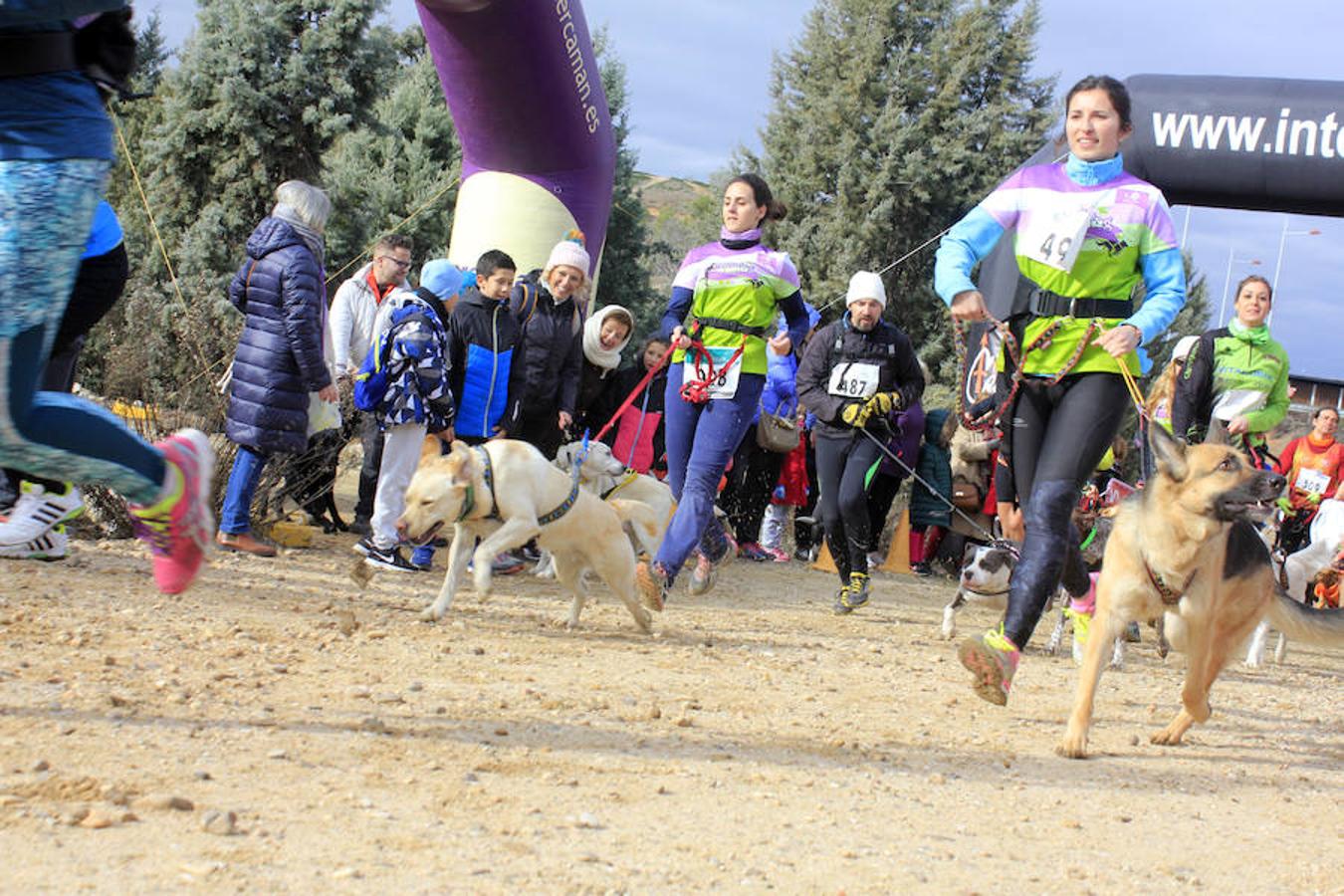 III Mushing Day «Ciudad de Toledo»