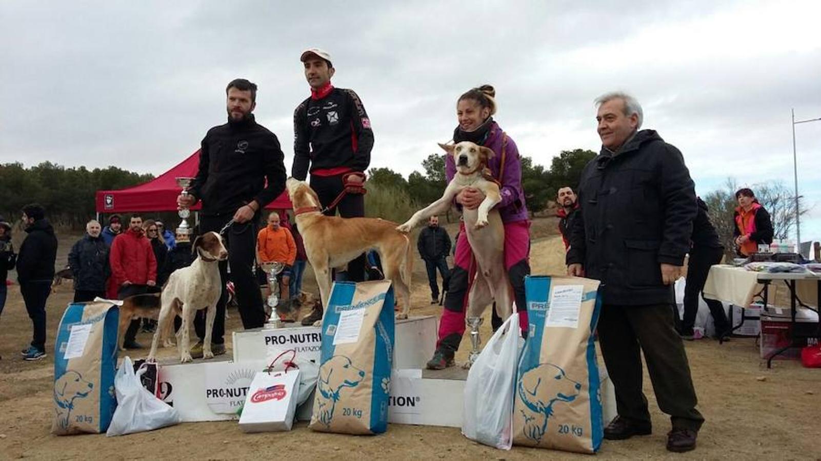 III Mushing Day «Ciudad de Toledo»