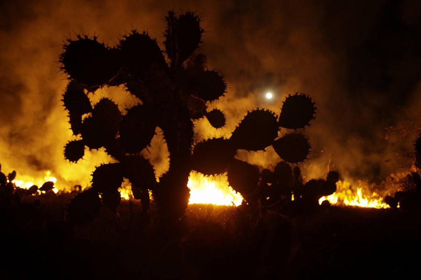 Las imágenes más impactantes de la superluna. La superluna sobre un incendio forestal en México