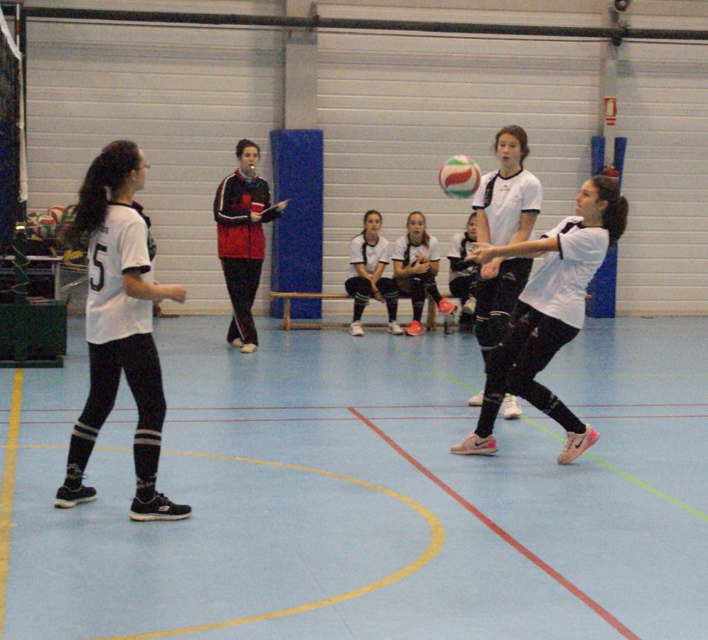 Las mejores imágenes del partido de voleibol que enfrentó al Antamira y al Irlandesas