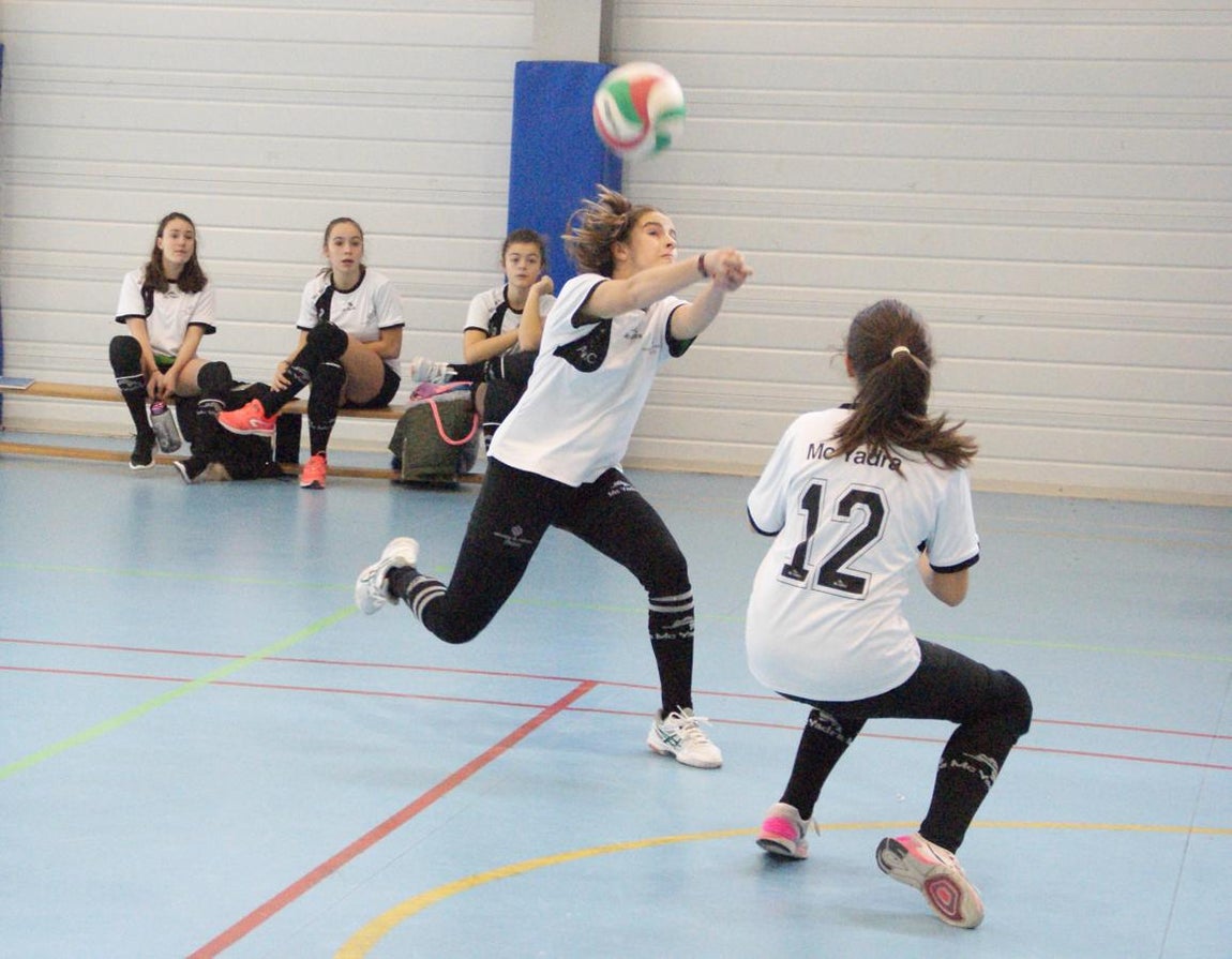 Las mejores imágenes del partido de voleibol que enfrentó al Antamira y al Irlandesas