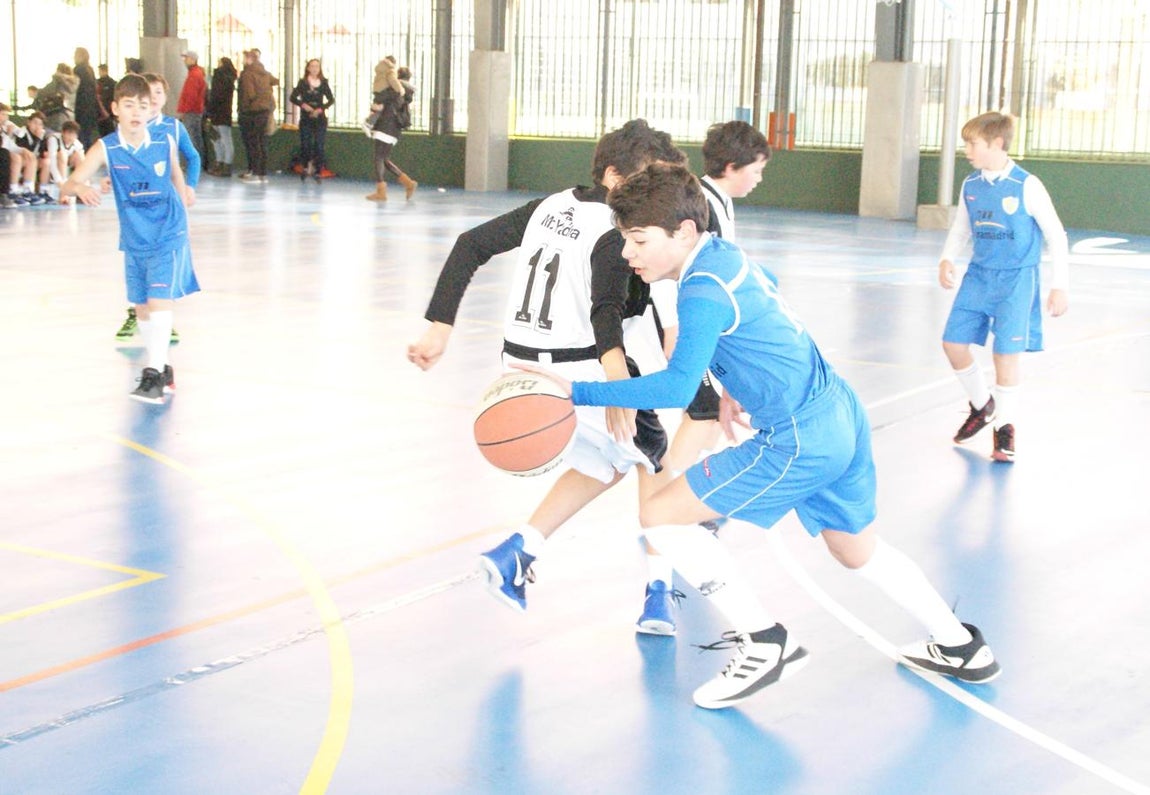 Las mejores imágenes del partido de baloncesto que enfrentó al San Agustín y al Miramadrid