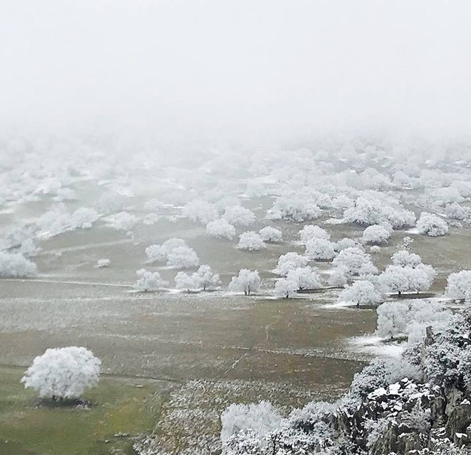 En imágenes, la nieve puebla el sur de la provincia de Córdoba
