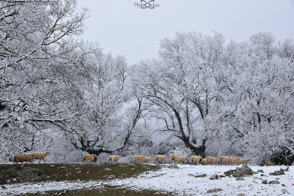 En imágenes, la nieve puebla el sur de la provincia de Córdoba