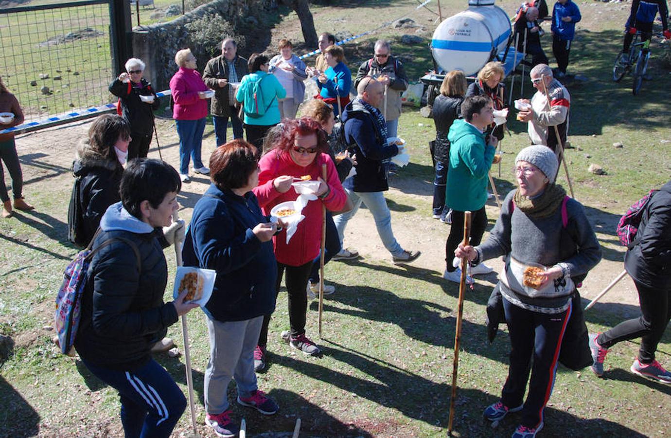 La romería de Santa Apolonia, en imágenes