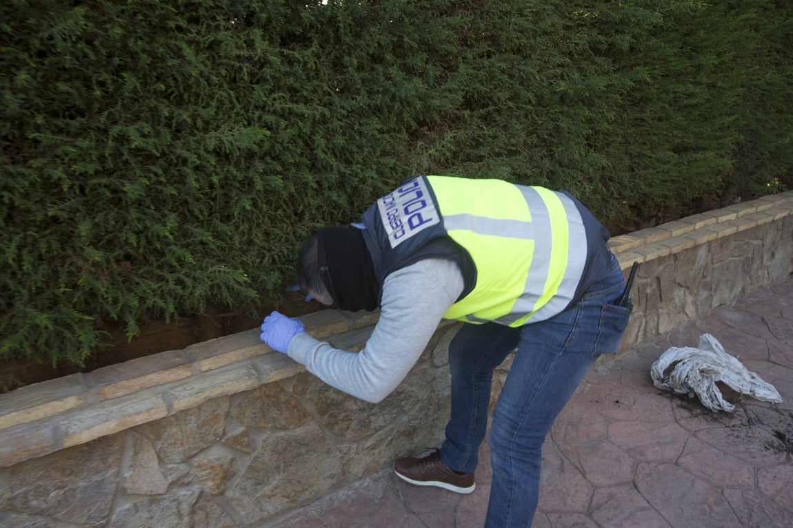 Las impactantes imágenes de la Operación Sahara