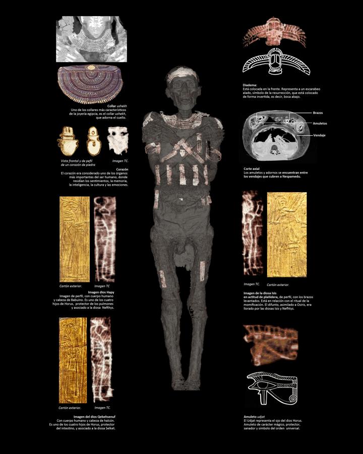 El análisis del TAC ha revelado todos los objetos que escondían las momias.. 