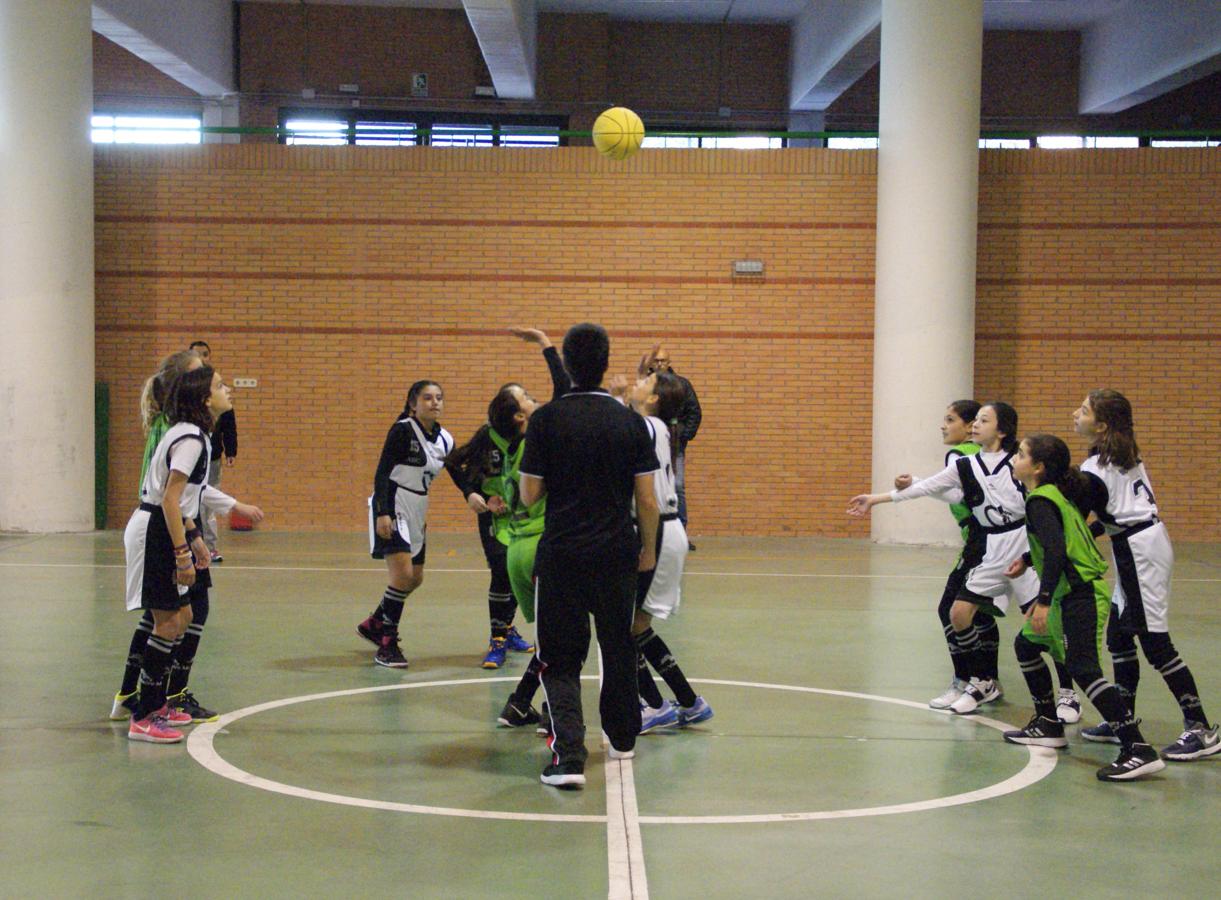 Las mejores imágenes del encuentro de baloncesto alevín femenino entre COIN &quot;A&quot; y Sagrada Familia Jorge Juan