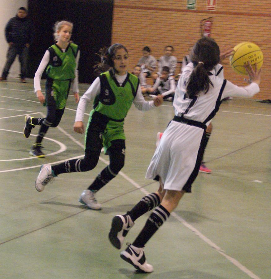 Las mejores imágenes del encuentro de baloncesto alevín femenino entre COIN &quot;A&quot; y Sagrada Familia Jorge Juan