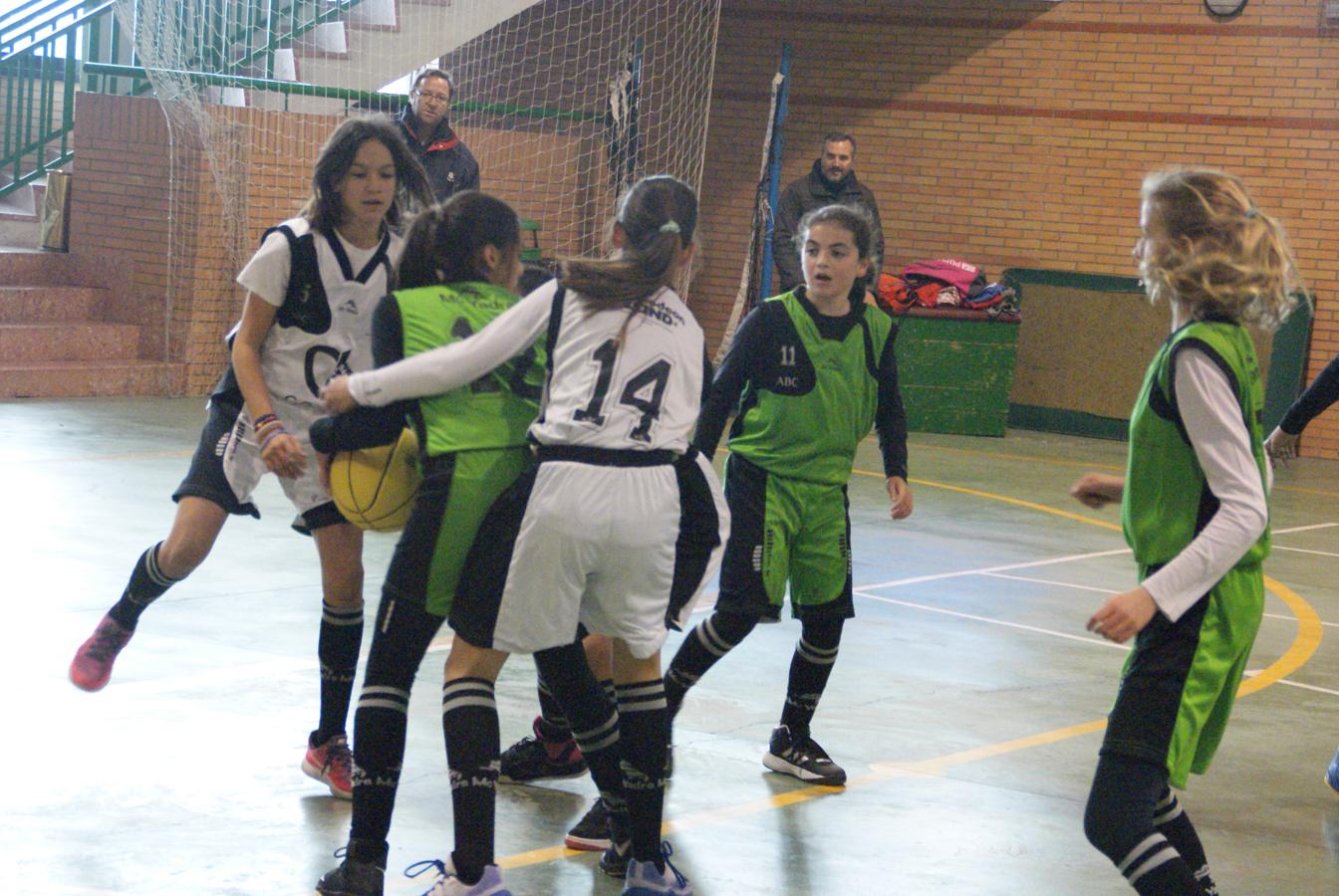 Las mejores imágenes del encuentro de baloncesto alevín femenino entre COIN &quot;A&quot; y Sagrada Familia Jorge Juan