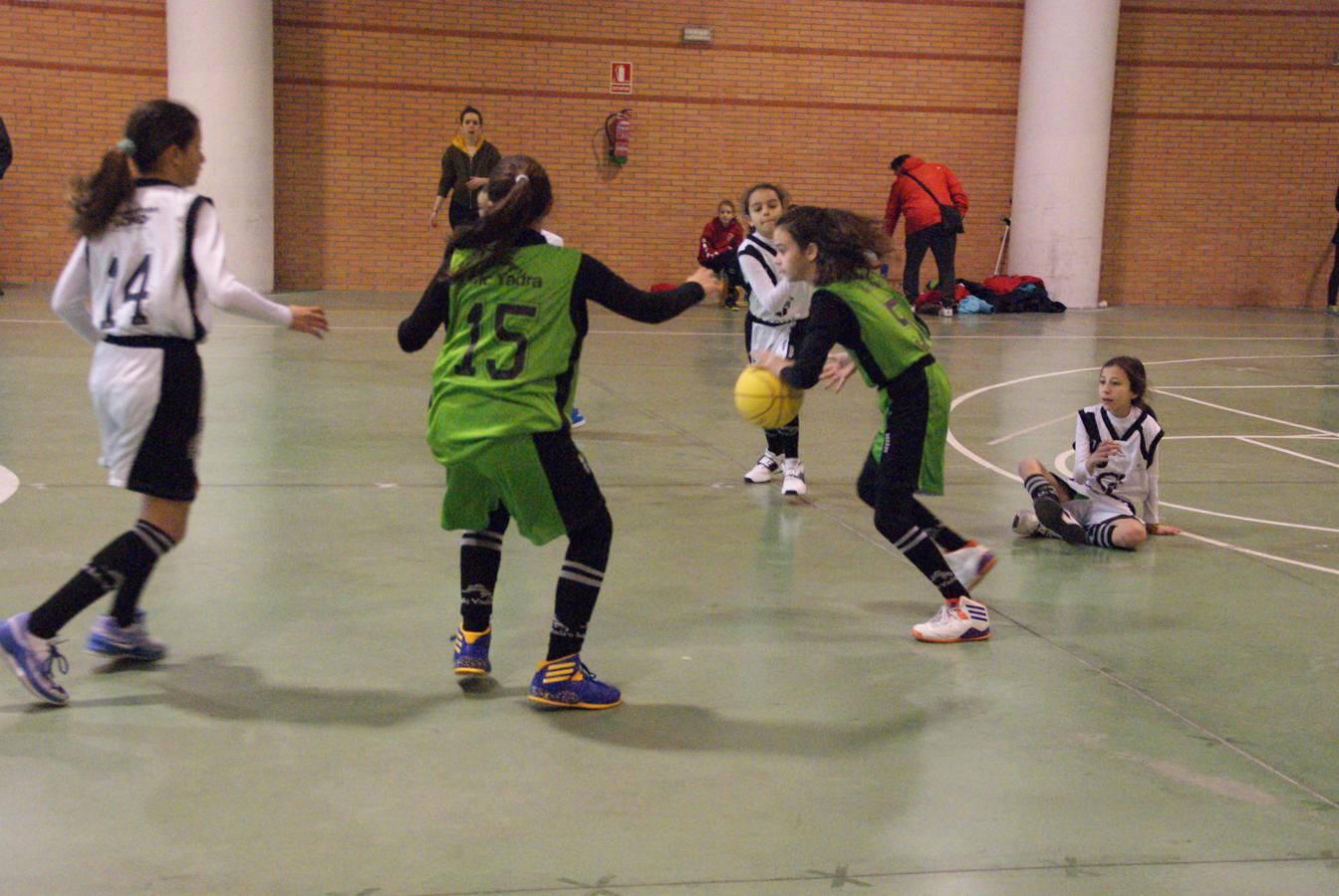 Las mejores imágenes del encuentro de baloncesto alevín femenino entre COIN &quot;A&quot; y Sagrada Familia Jorge Juan