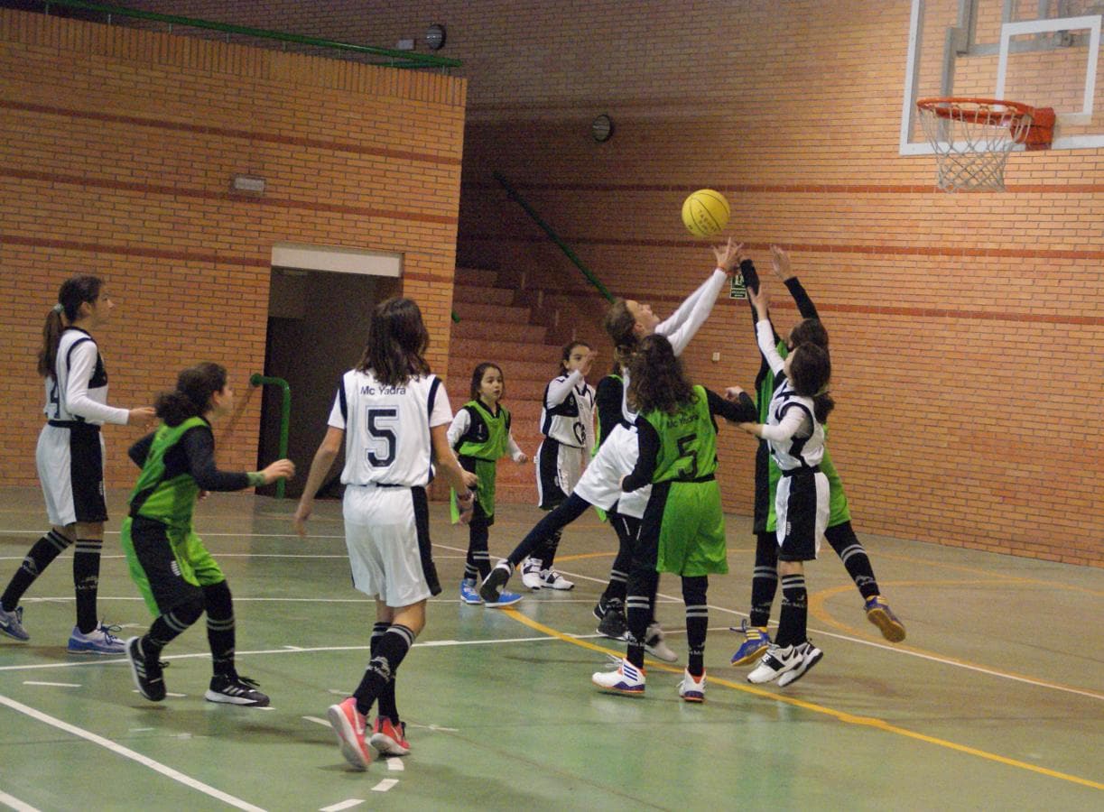 Las mejores imágenes del encuentro de baloncesto alevín femenino entre COIN &quot;A&quot; y Sagrada Familia Jorge Juan