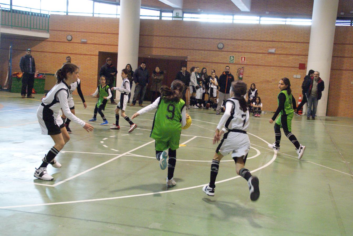 Las mejores imágenes del encuentro de baloncesto alevín femenino entre COIN &quot;A&quot; y Sagrada Familia Jorge Juan