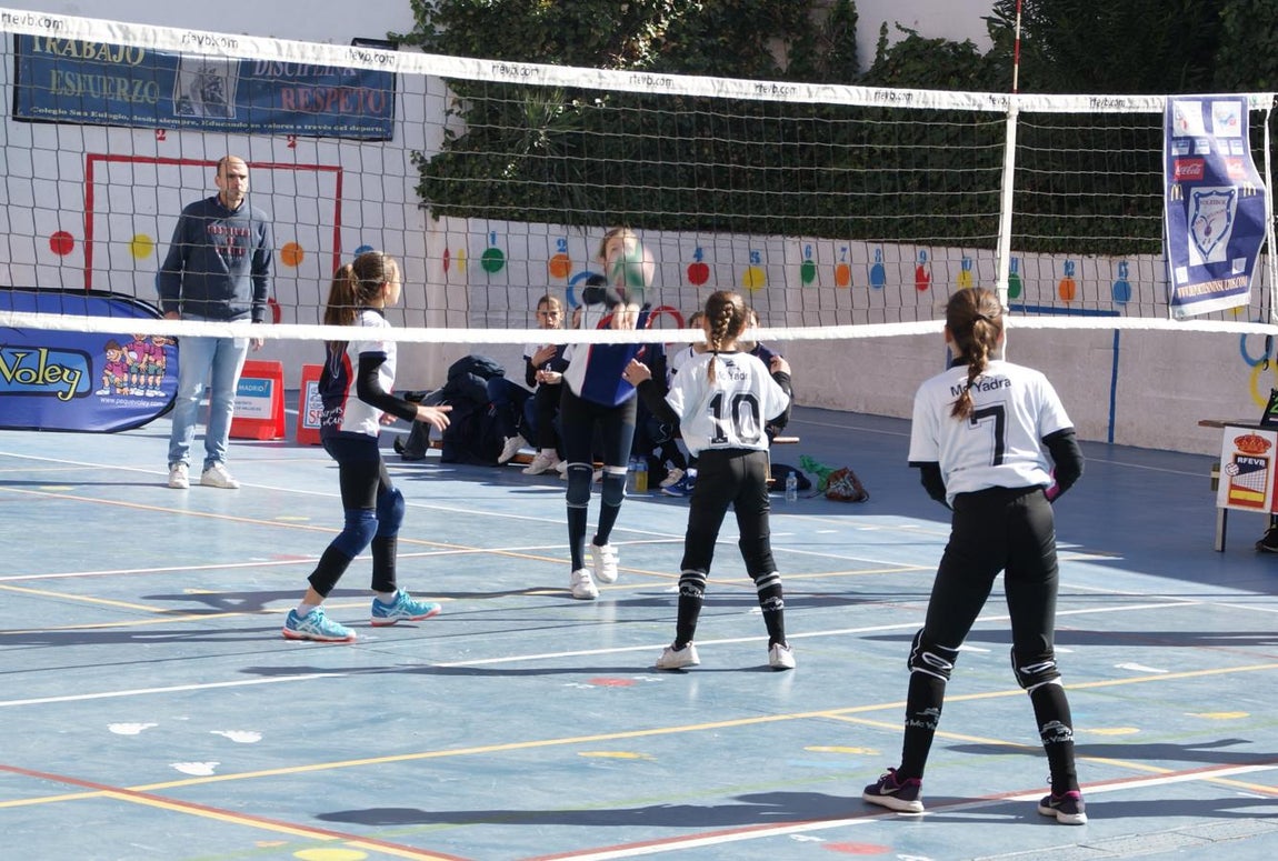 Las mejores imágenes del partido de voleibol alevín entre San Eulogio y Saint Louis des Français &quot;A&quot;