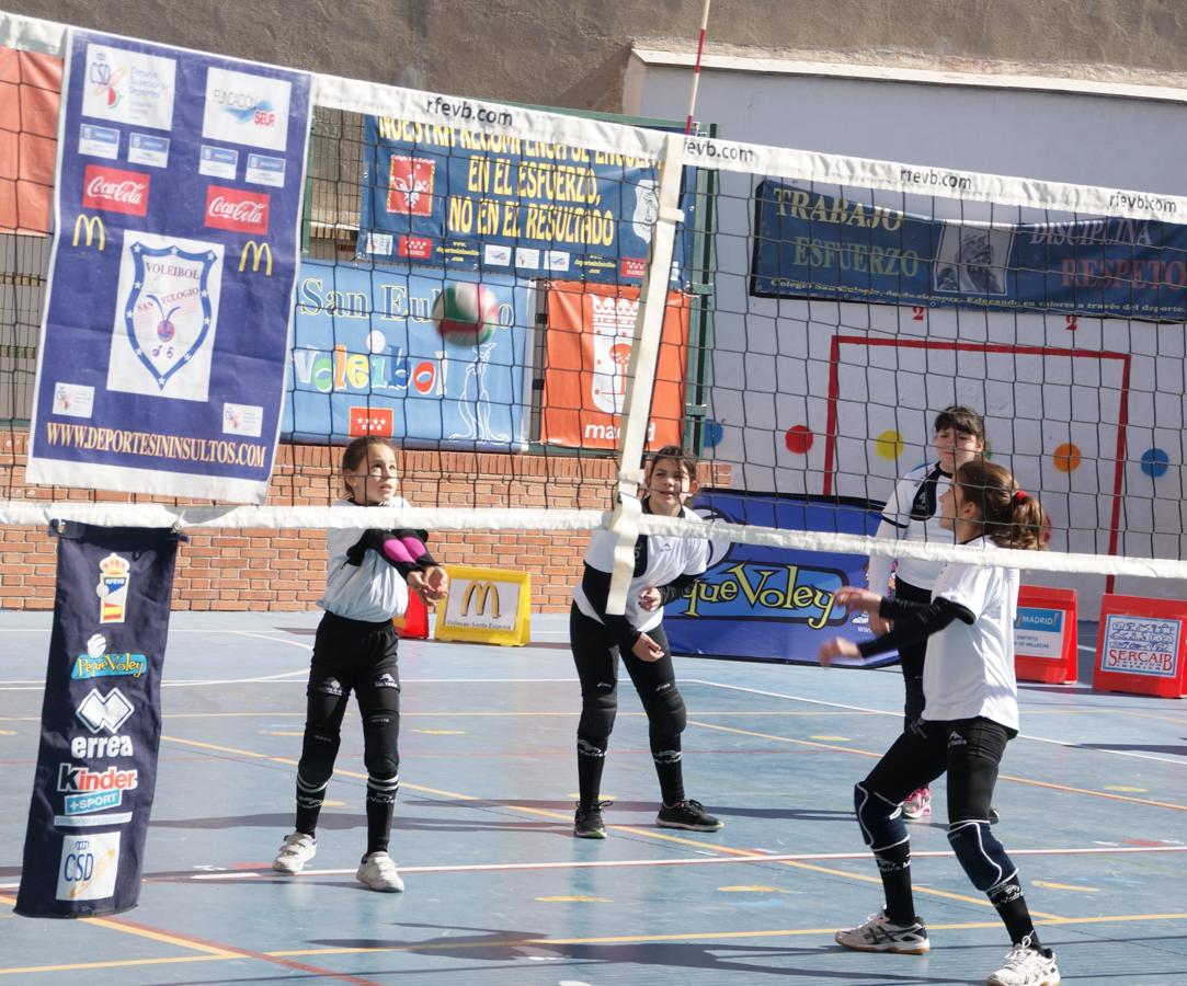 Las mejores imágenes del partido de voleibol alevín entre San Eulogio y Saint Louis des Français &quot;A&quot;