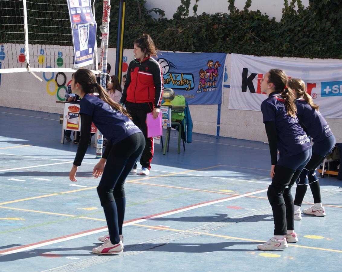Las mejores imágenes del partido de voleibol alevín entre San Eulogio y Saint Louis des Français &quot;A&quot;