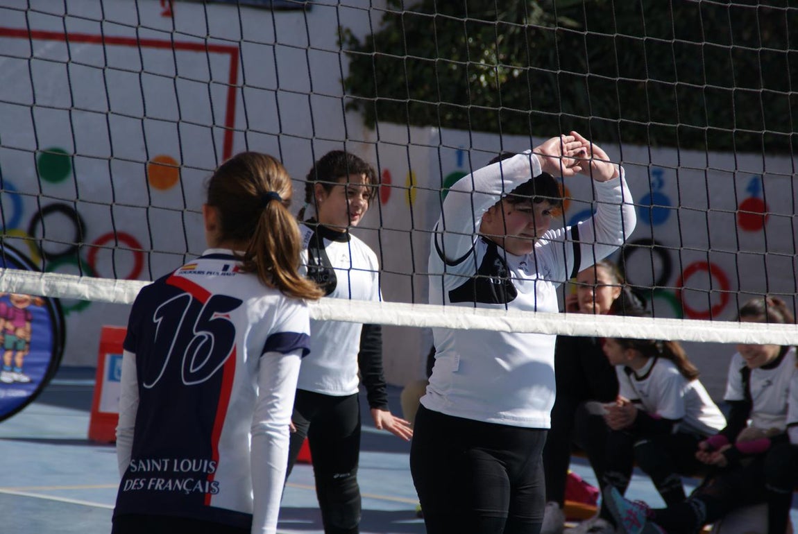 Las mejores imágenes del partido de voleibol alevín entre San Eulogio y Saint Louis des Français &quot;A&quot;