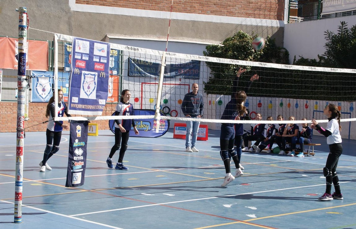 Las mejores imágenes del partido de voleibol alevín entre San Eulogio y Saint Louis des Français &quot;A&quot;