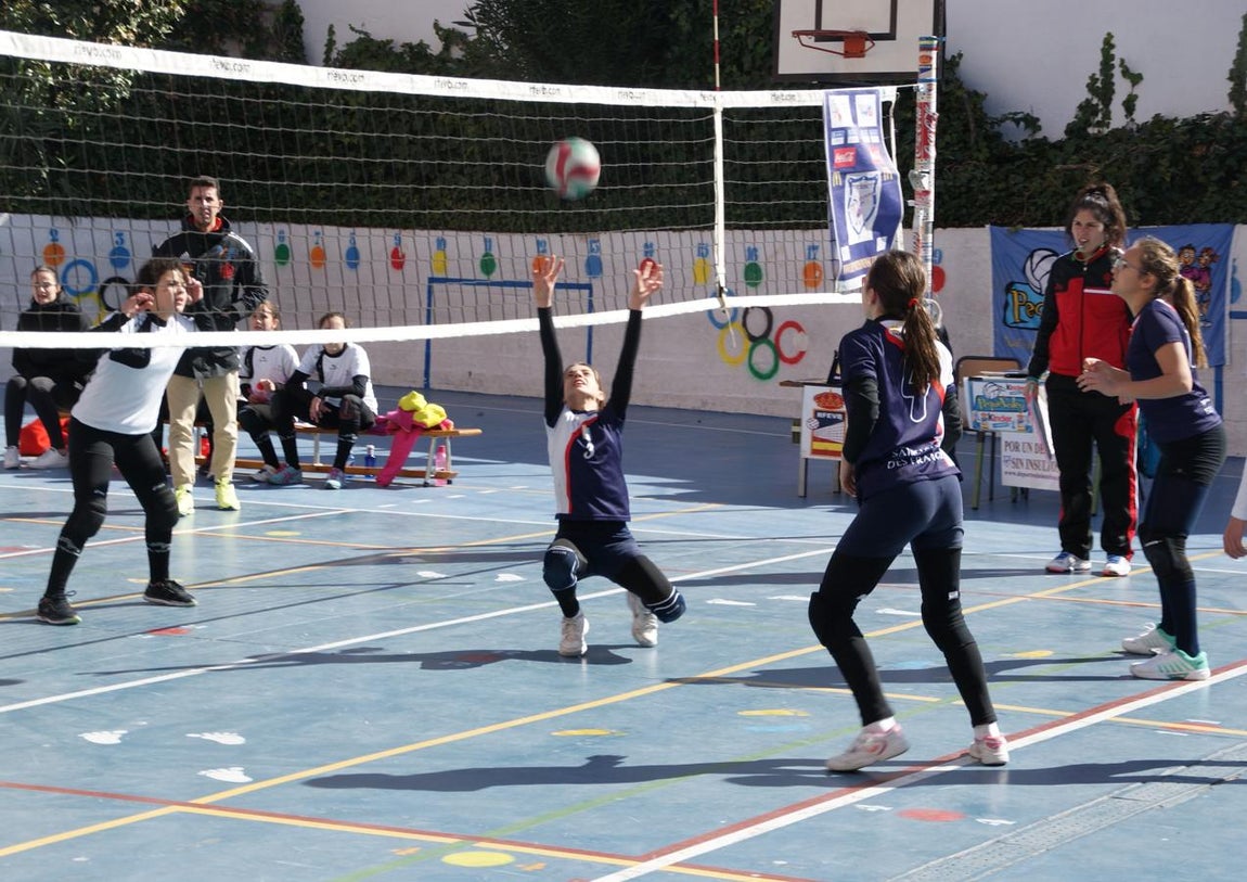 Las mejores imágenes del partido de voleibol alevín entre San Eulogio y Saint Louis des Français &quot;A&quot;